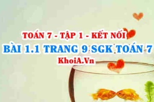 Bài 1.1 trang 9 SGK Toán 7 tập 1 Kết nối tri thức